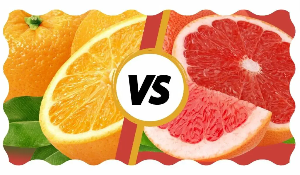 Is Grapefruit and Orange the Same