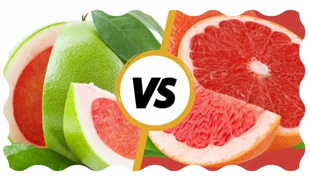 Is Grapefruit and Pomelo the Same