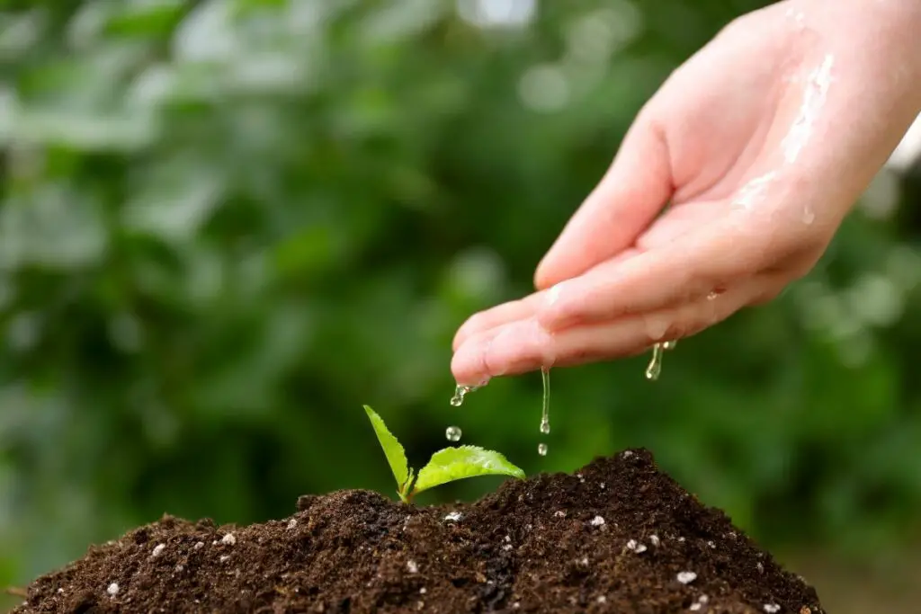 Water Runs Straight Through Soil